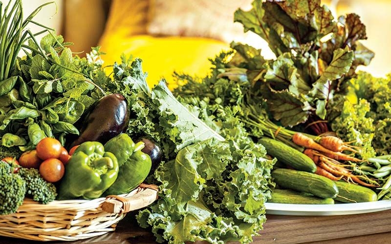 Produção de alimentos livres de resíduos de agrotóxicos.
